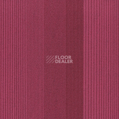 Ковровая плитка Interface Straightforward II 4268016 Fiesta фото 1 | FLOORDEALER